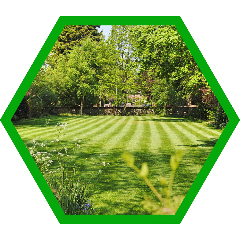 Columbia SC Landscaping & Grounds Maintenance | Green Dynasty